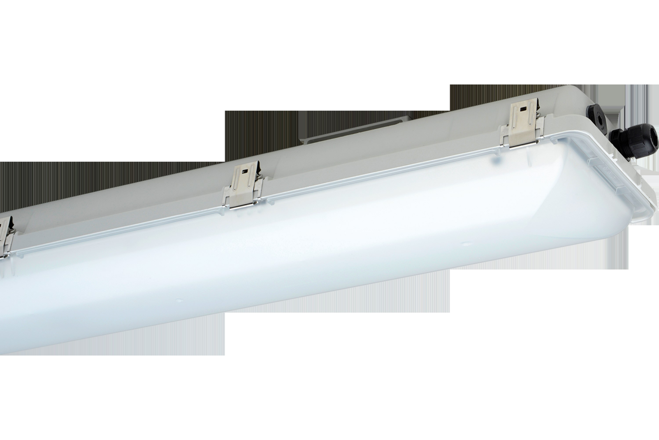 Schuch Licht Ex-LED-Wannenleuchte nD866F 12L60